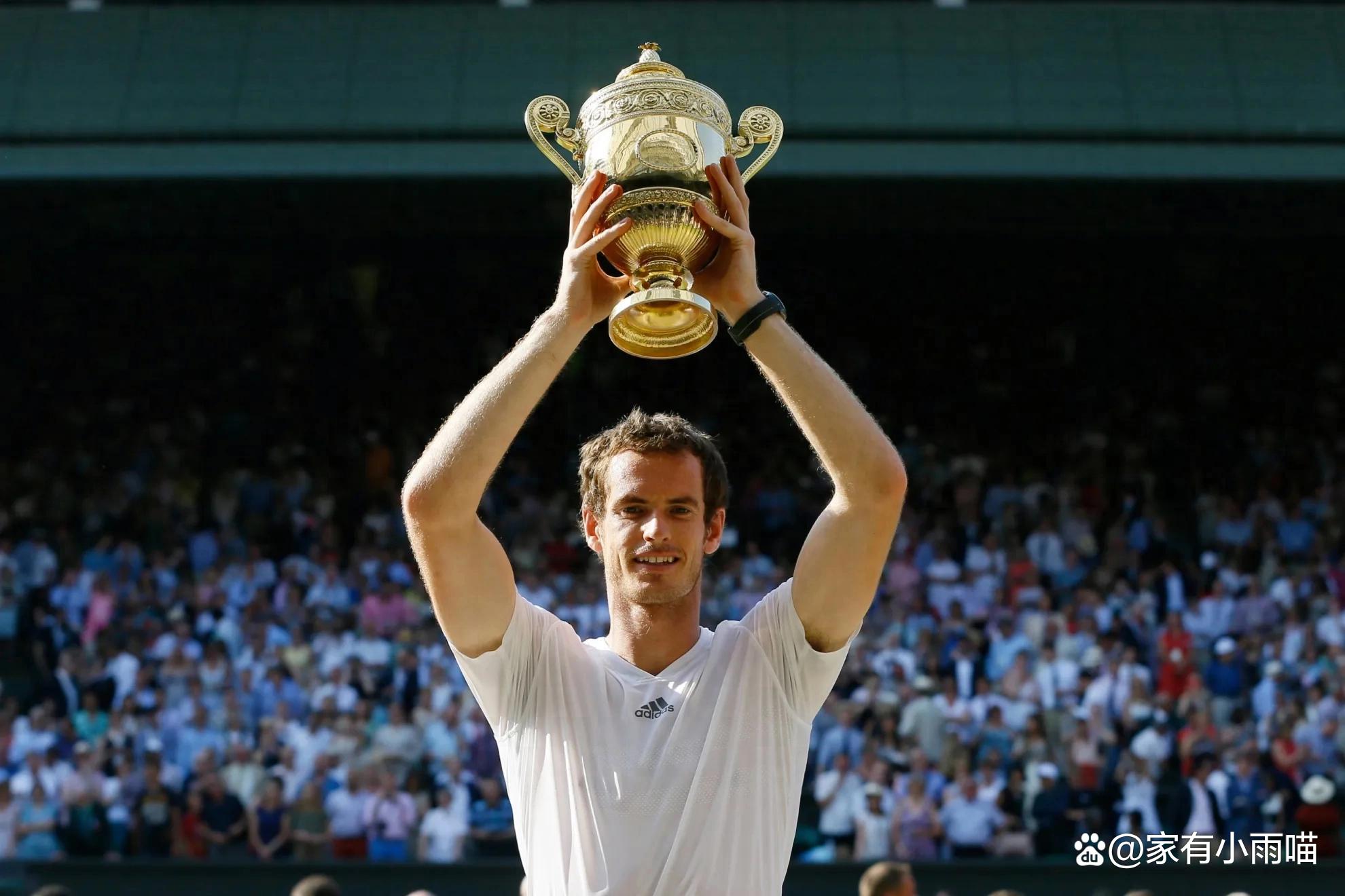 澳网力克温网，穆雷惊艳四座