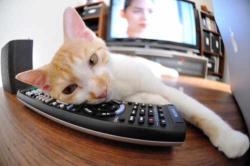 意甲焦点战之夜，克瓦拉茨赫利亚的魔法与那不勒斯的胜利