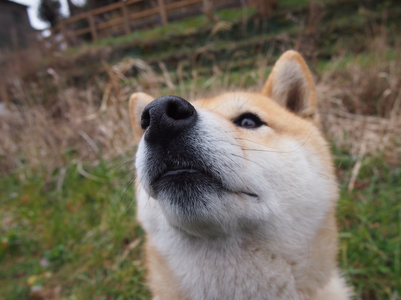 雷火电竞简介-杭州·萨克拉门托，两座城市的平行史诗